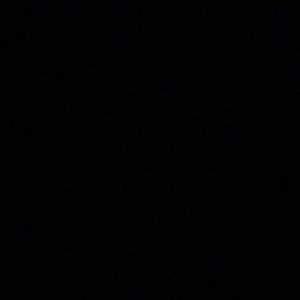 Meet your Posher, Paige